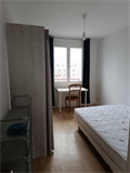 appartement à la location